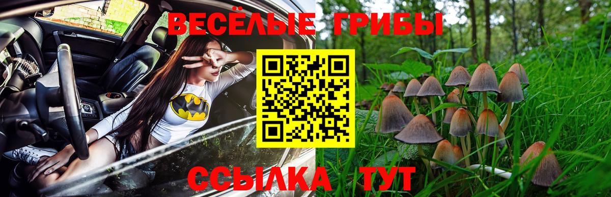 Краснознаменск  Псилоцибиновые грибы Psilocybe  Вход с VPN 